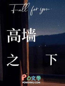 高墙之外的文案
